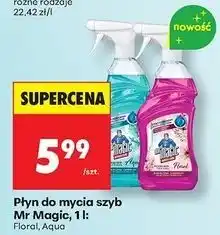 Biedronka Płyn do mycia szyb floral Mr Magic oferta