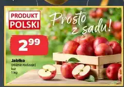 Netto Jabłka oferta