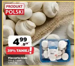 Netto Pieczarki oferta