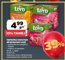 Netto Herbata malina-truskawka Loyd Tea The Magic Experience oferta