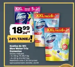 Netto Zawieszki do wc ocean Domestos Power5 oferta