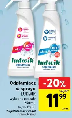 Intermarche Odplamiacz w sprayu oferta