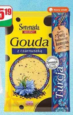 Dino Ser Serenada Gouda z czarnuszką Spomlek oferta