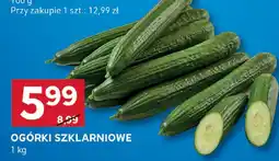 Stokrotka Ogórki szklarniowe oferta