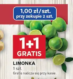 Stokrotka Limonka Stokrotka oferta