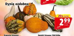 Prim Market Dynia K! oferta
