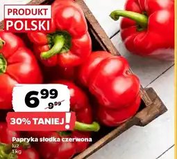 Netto Papryka Polski oferta