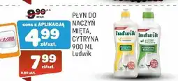 Społem Płyn do naczyń Ludwik oferta