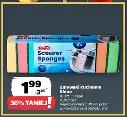 Netto Zmywaki kuchenne Shine oferta