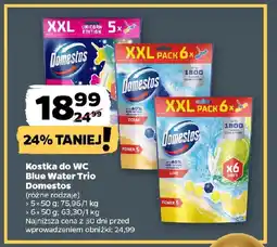 Netto Kostka do WC Blue Water Trio Domestos oferta