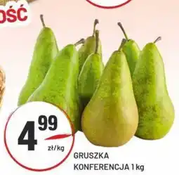 Sedal Gruszka konferencja oferta