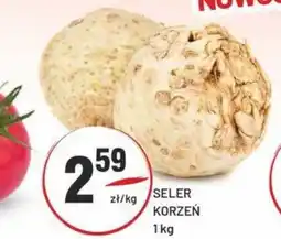 Sedal Seler korzeń oferta