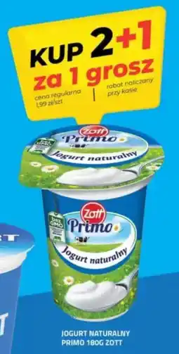 Hildebrandt Jogurt naturalny primo zott oferta