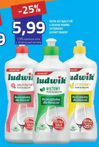 Hildebrandt Płyn do naczyń ludwik oferta