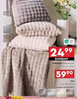 Biedronka Poduszka dekoracyjna oferta