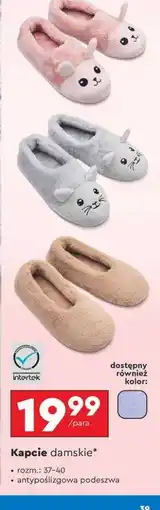 Biedronka Kapcie damskie oferta