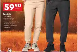 Biedronka Spodnie damskie lub męskie oferta