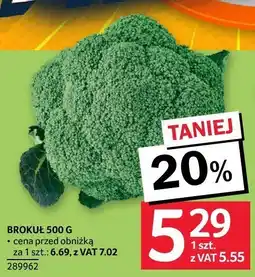 Selgros Brokuł Selgros oferta