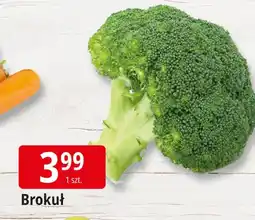 E.Leclerc Brokuł Leclerc oferta