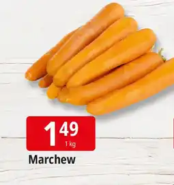 E.Leclerc Marchew Leclerc oferta