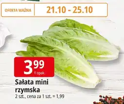 E.Leclerc Sałata mini rzymska Leclerc oferta