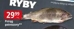 E.Leclerc Ryba pstrąg patroszony Leclerc oferta