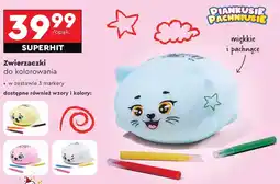 Biedronka Kolorowanka oferta