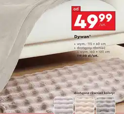 Biedronka Dywan oferta