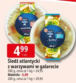E.Leclerc Śledź atlantycki z warzywami w galarecie Ronde des Mers oferta