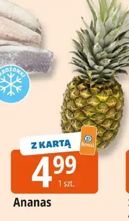 E.Leclerc Ananas Leclerc oferta