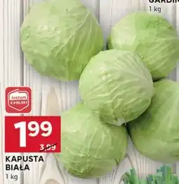 Stokrotka Optima Kapusta biała oferta