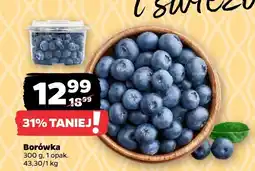 Netto Borówka Netto oferta