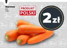 Netto Marchew luz Netto oferta