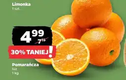 Netto Pomarańcza luz Netto oferta