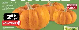 Netto Dynia Halloween luz Netto oferta