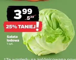 Netto Sałata lodowa Netto oferta