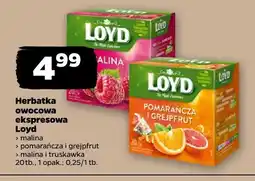 Netto Herbata owocowa Loyd malina oferta