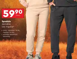 Biedronka Spodnie dresowe oferta