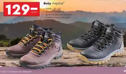 Biedronka Buty męskie 42-45 Campus oferta