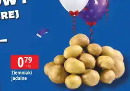 E.Leclerc Ziemniaki oferta
