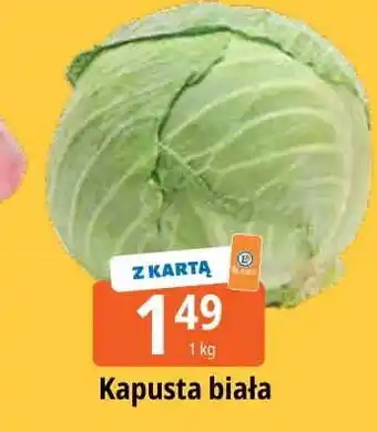 E.Leclerc Kapusta biała oferta