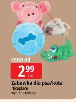 E.Leclerc Zabawka dla kota Niceplace oferta