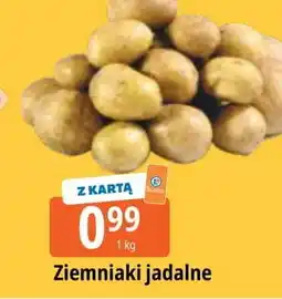 E.Leclerc Ziemniaki oferta