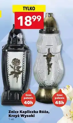 Lewiatan Znicz oferta