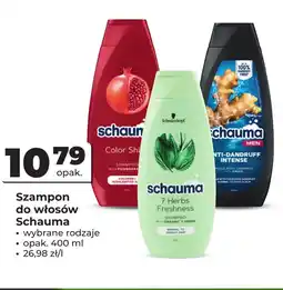 Odido Szampon Schauma oferta
