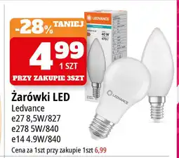 E.Leclerc Żarówka 4.9 w e14 świeczka Ledvance oferta