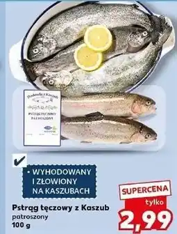 Kaufland Pstrąg tęczowy patroszony oferta
