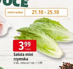 E.Leclerc Sałata rzymska mini oferta