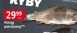 E.Leclerc Pstrąg patroszony oferta