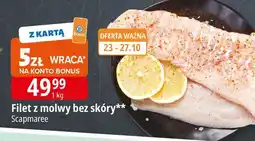 E.Leclerc Molwa filet bez skóry Scapmaree oferta